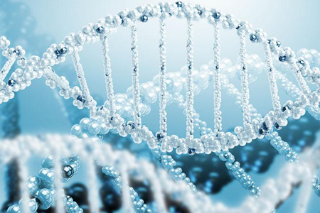 DNA为什么需要亲子鉴定