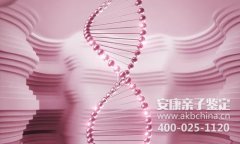 长治DNA做亲子鉴定需要什么证件
