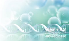 娄底DNA亲子鉴定流程