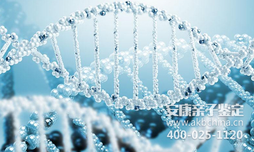 20多个步骤解析DNA亲子鉴定