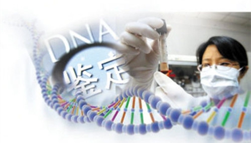 什么时候DNA鉴定意见可以作为刑事案件证据来使用呢