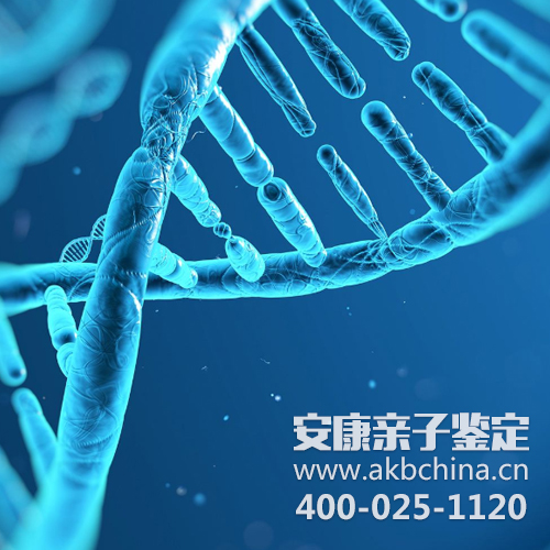 详细分解什么叫DNA亲子鉴定检测？