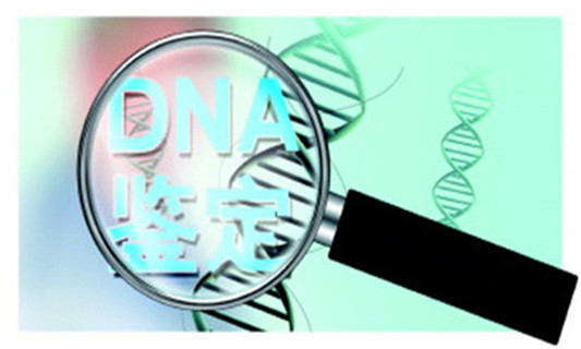 DNA亲子鉴定简单四步骤