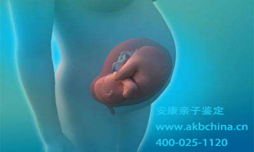 产前胎儿亲子鉴定对宝宝发育有没有影响？
