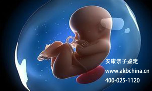 产前胎儿亲子鉴定做的明显增多？更早多大就可以做呢？
