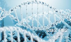 一般检测DNA要什么样本？具体要求有吗？