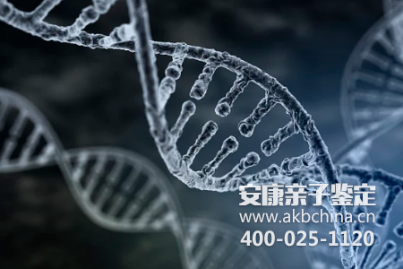 DNA亲子鉴定从无创亲子鉴定中提取DNA步骤原理