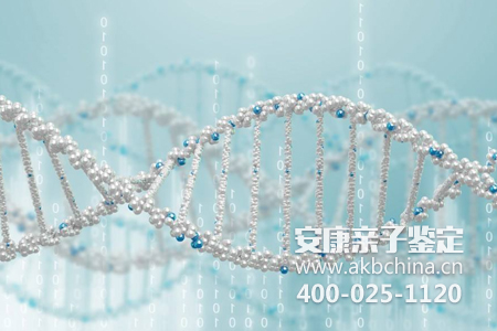 安康亲子鉴定机构实验设备介绍 美国ABI 3400型DNA合成仪