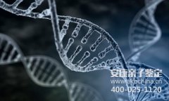 杭州DNA鉴定需要开具证明才能做吗？