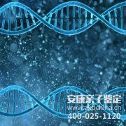 深圳DNA鉴定那个机构好？在哪里？