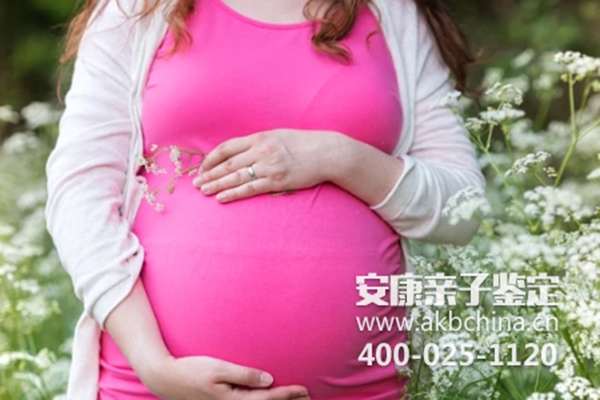 上海孕期亲子鉴定注意事项