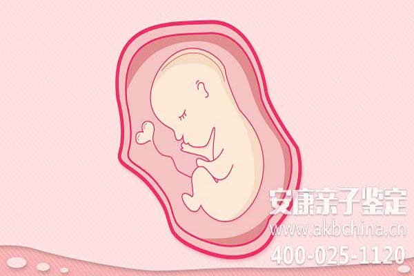 抽取多少无创亲子鉴定可以做胎儿亲子鉴定，取无创亲子鉴定做亲子鉴定提取方法