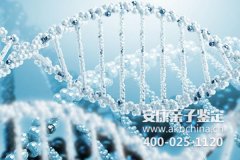 广州DNA厅授权第三方亲子鉴定机构怎么选