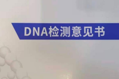 南昌医院亲子鉴定在哪做（南昌哪家医院可以做DNA亲子鉴定）