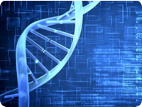 毫州DNA亲子鉴定在哪做，流程和所需费用,材料