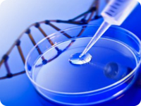 吉林DNA亲子鉴定在哪做，流程和所需费用,材料