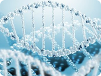 温州DNA亲子鉴定在哪做，流程和所需费用,材料