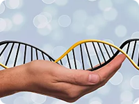 安康DNA亲子鉴定在哪做，流程和所需费用,材料