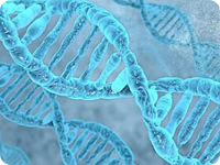 辽阳DNA亲子鉴定在哪做，流程和所需费用,材料