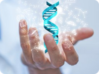 蚌埠DNA亲子鉴定在哪做，流程和所需费用,材料