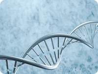 芜湖DNA亲子鉴定在哪做，流程和所需费用,材料