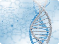 承德DNA亲子鉴定在哪做，流程和所需费用,材料