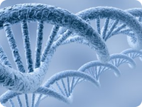 贵阳DNA亲子鉴定在哪做，流程和所需费用,材料