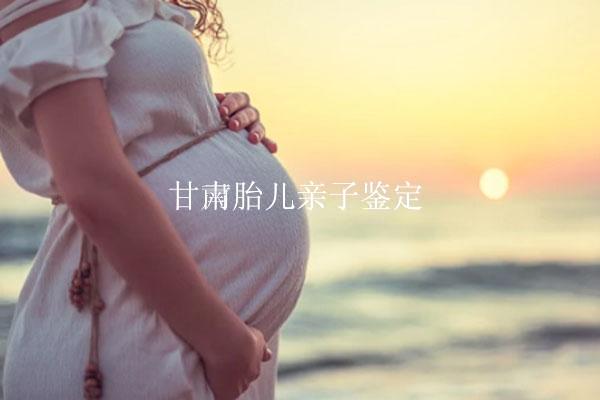 甘南胎儿亲子鉴定