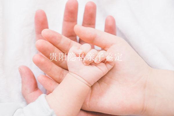 贵阳隐私亲子鉴定