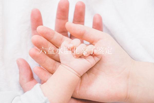 六盘水胎儿亲子鉴定