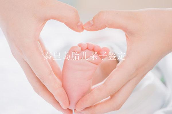 秦皇岛胎儿亲子鉴定