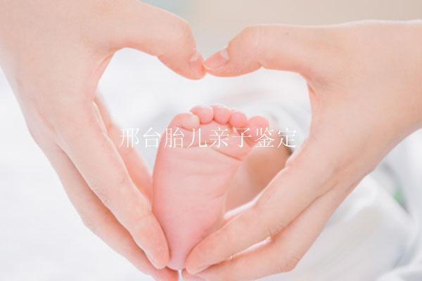 邢台胎儿亲子鉴定