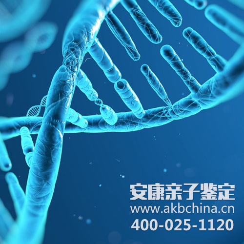 为什么亲子鉴定通知是**突变,什么鬼？