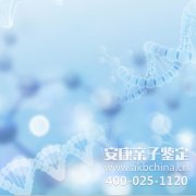 那些不被理解的亲子鉴定