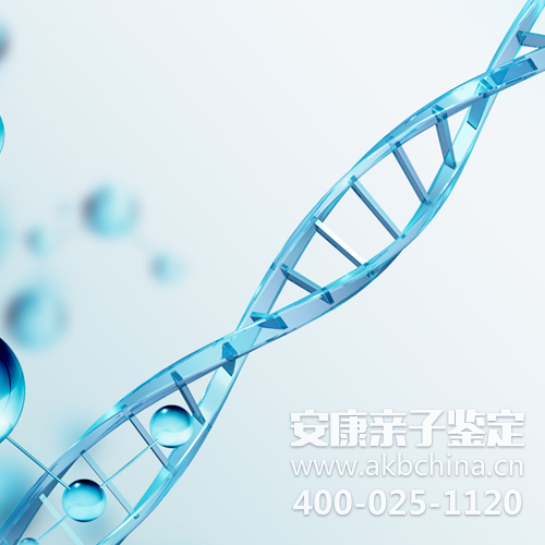做亲子鉴定会被泄露出去吗？