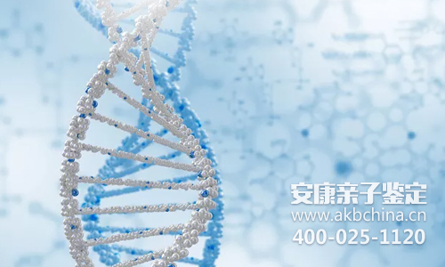 DNA亲子鉴定全面解析