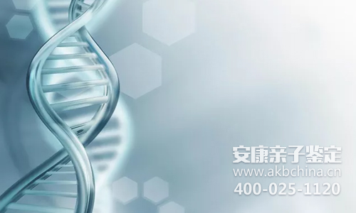 为什么2岁宝宝做亲子鉴定不让用头发？是不准确吗？