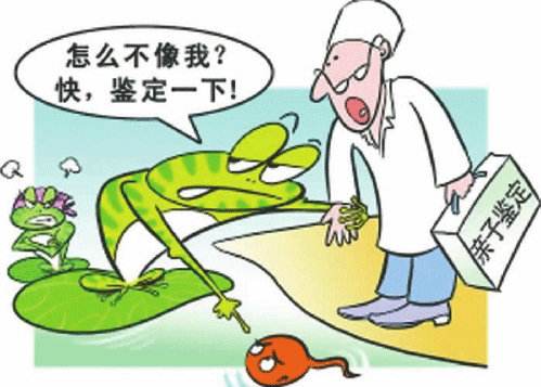 “任性”父亲频繁做亲子鉴定,只因心里有鬼