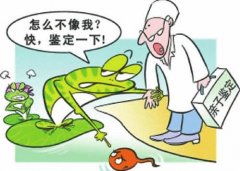 鹤壁给婴儿DNA需要什么手续和证件？