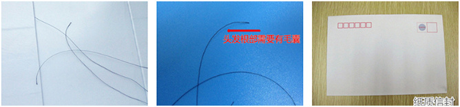 头发可以做鉴定吗?没有毛囊的可以不