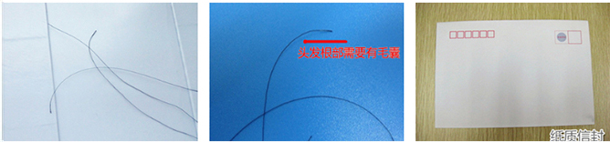 做亲子鉴定更好的样本是采集头发吗?