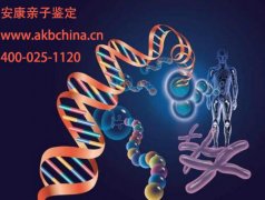 亲子鉴定样本常温下可以保存多长时间