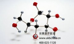 产前胎儿亲子鉴定得多少钱，谁来付这个费用？