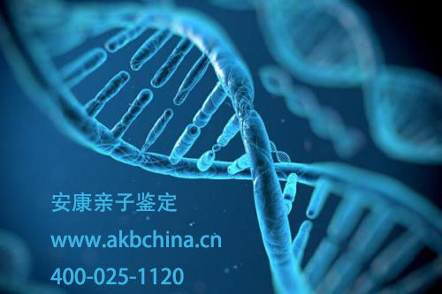 亲子鉴定不仅关于情感纠纷，也关于很多的帮助