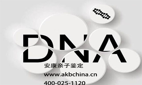 害怕上当要怎么识别假的亲子鉴定呢?