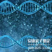 汕头亲子鉴定,正规亲子鉴定报告单图片