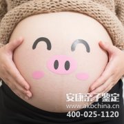 武汉胎儿亲子鉴定去哪里做比较正规?