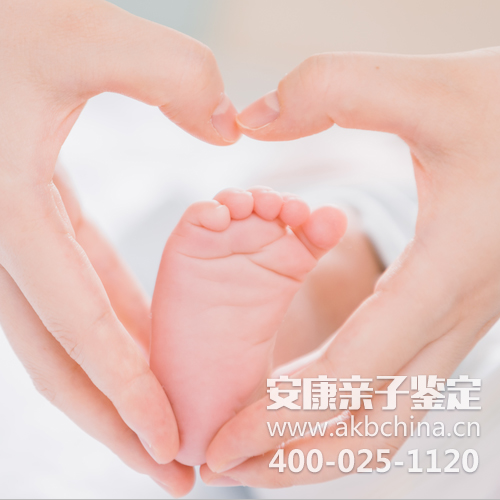 个人亲子鉴定