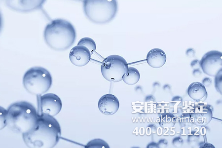 亲子鉴定文书规范