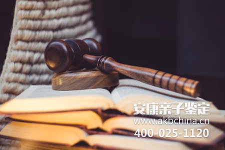 上海父子两个人亲子鉴定多少钱